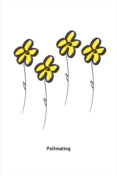 Pollinating Postcard